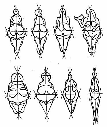 Multiple Venus figurines showing geometric similarity
