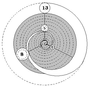 Fibonacci points in a vortex