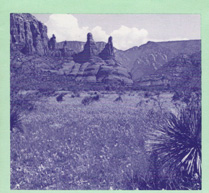 Sedona red rocks landscape